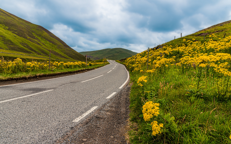 Summer Wellbeing for You and Your Car 