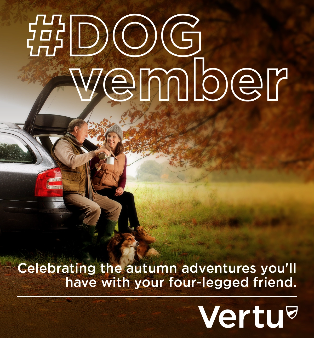 Dogvember Vertu